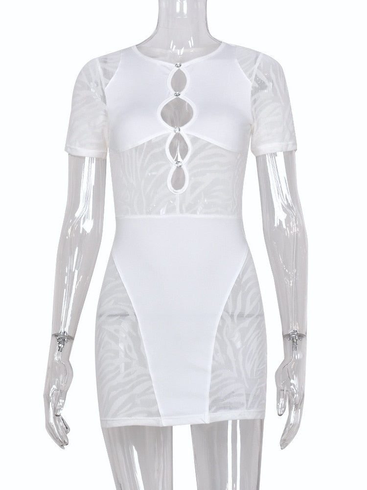 Sexy Zebra Mesh Transparent Women's Mini Dress
